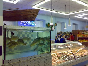 Живая рыба в магазине