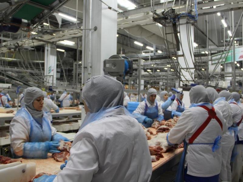 "Мираторг" инвестирует четверть миллиарда рублей в расширение производства свинины 