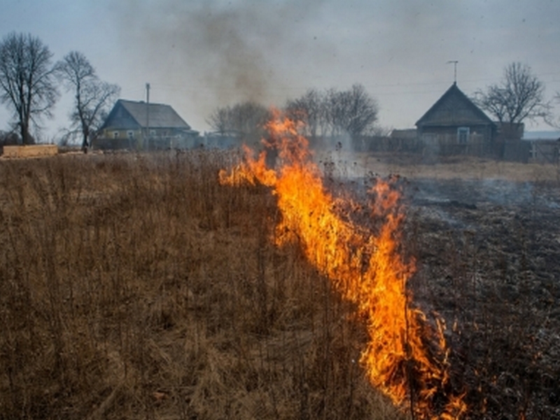 59 человек оштрафовали за сжигание травы