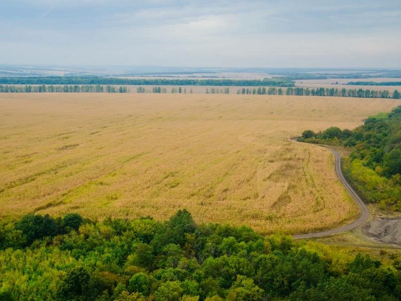 "Мираторг" вернет в сельхозоборот порядка 800 га заброшенных земель в Курской области в 2018 году