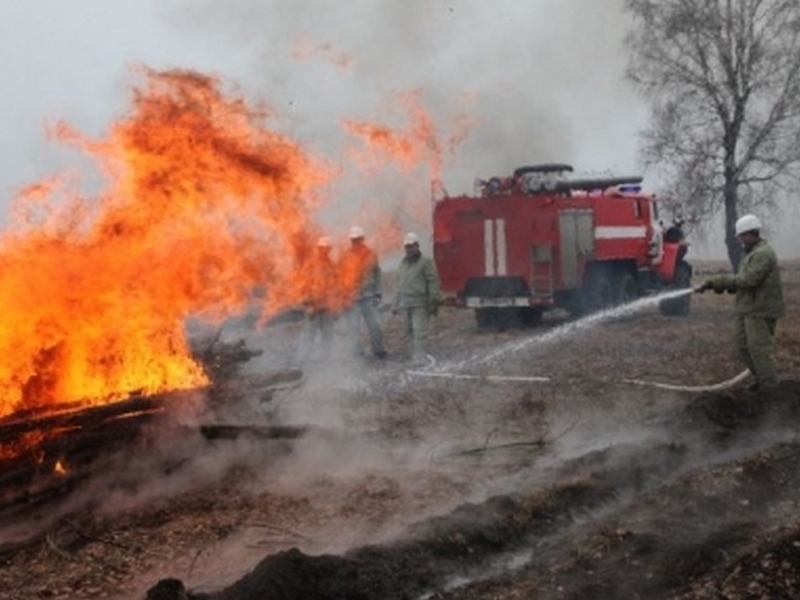 Каким районам угрожают лесные пожары