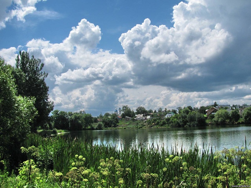Курская область вошла в первую пятерку по экологии