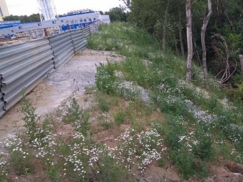 В Курске сливали бетон в овраг: идет расследование