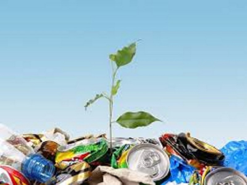 Насколько важна правильная утилизация отходов