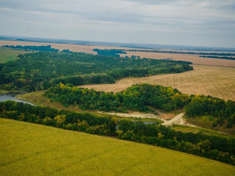"Мираторг" инвестировал 17,5 млн руб. в повышение плодородности почв в Курской области в 2018 году