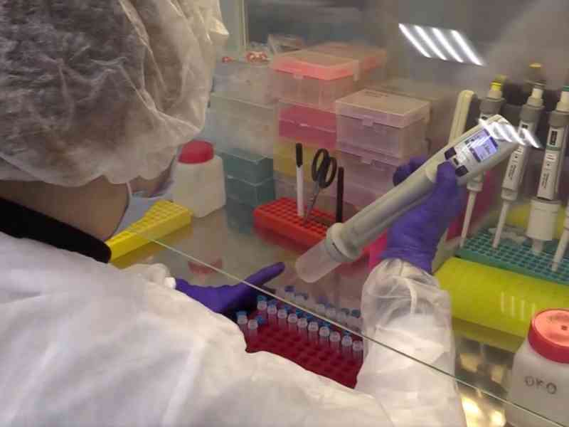 За сутки подтверждено 635 новых случаев коронавируса