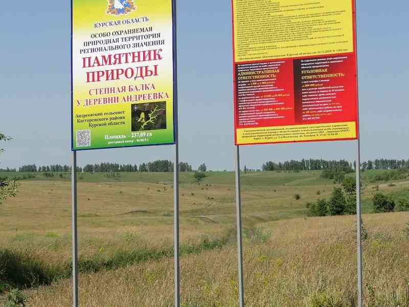В Курской области обнаружены новые "краснокнижные" растения