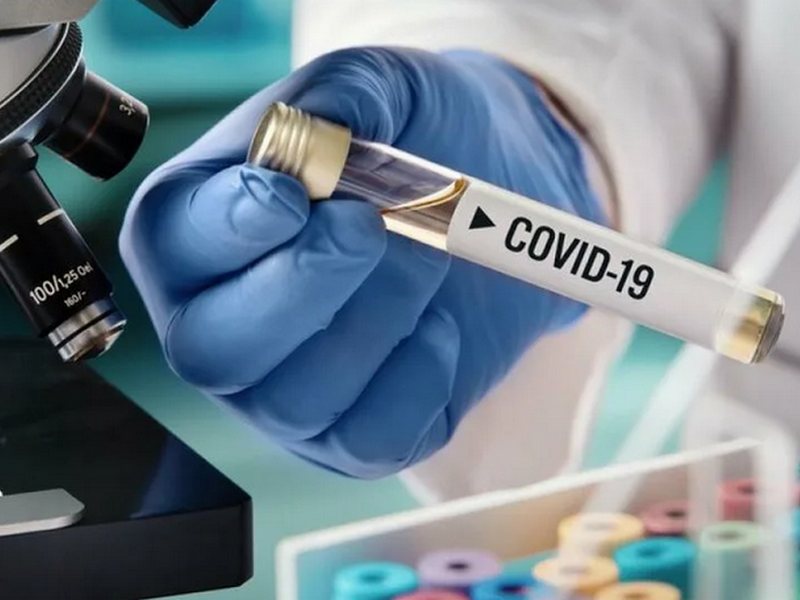 За сутки подтверждено 610 случаев коронавируса