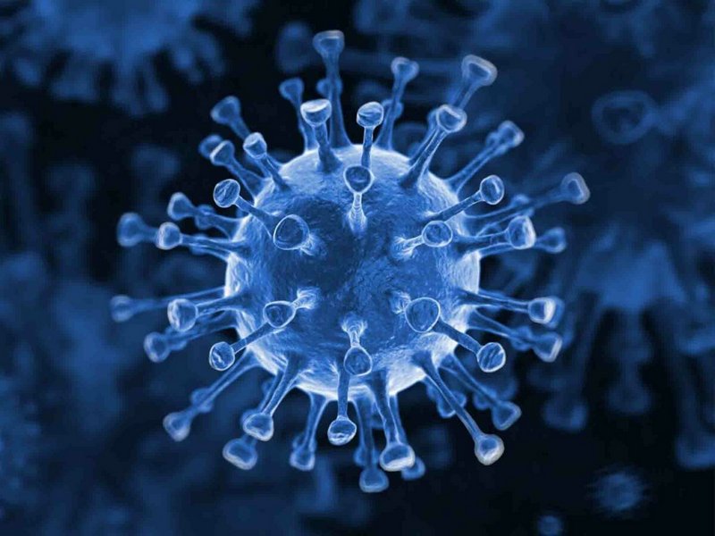 За сутки коронавирус подтвержден у 174 человек