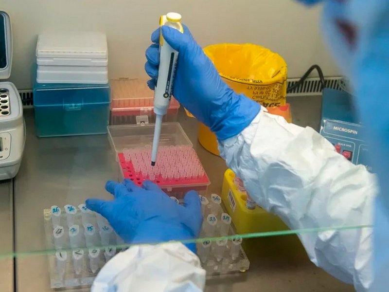 За сутки подтверждено 176 новых случаев коронавируса