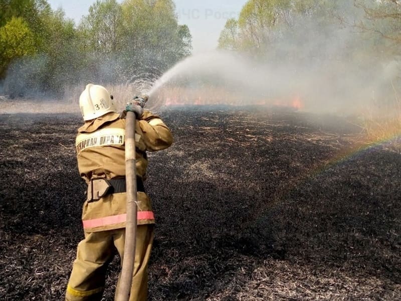 За неделю в Курской области произошло 240 пожаров