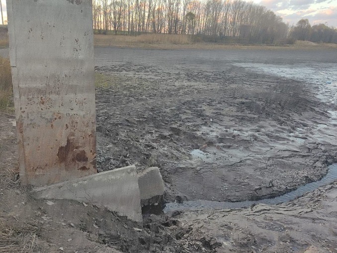 В Курской области из-за незаконного спуска прудов погибла рыба