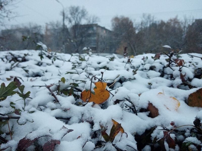 На Курскую область надвигается снегопад