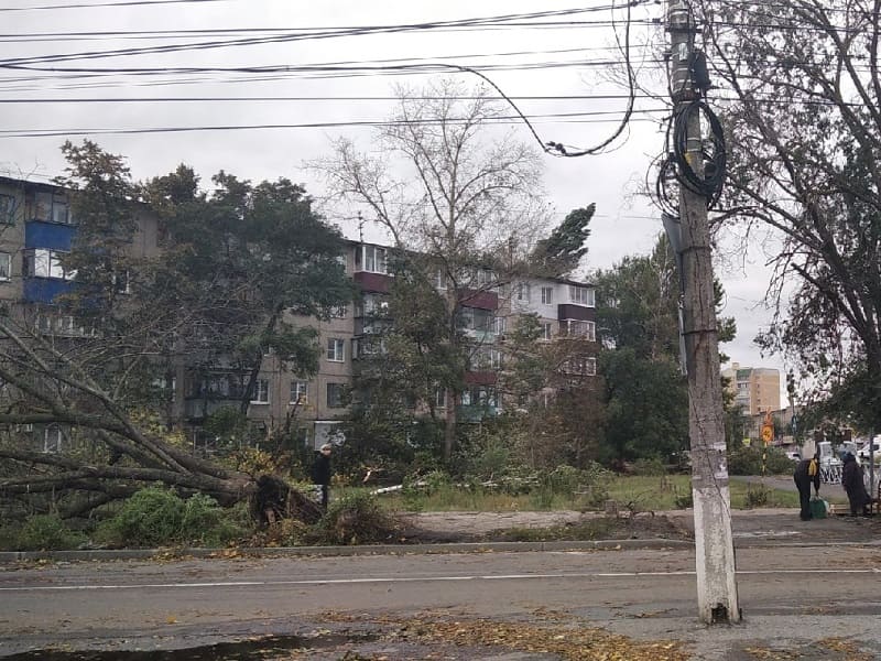 В Курске два человека погибли из-за урагана