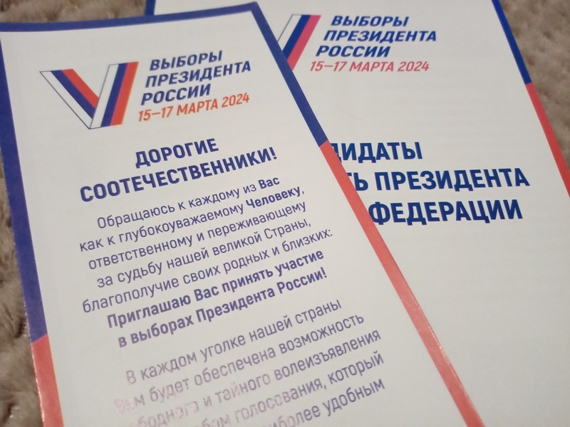Явка на выборах в Курской области превысила 75%