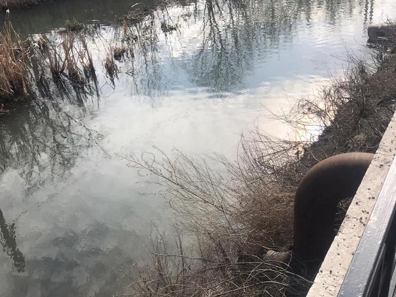 Тускарь в Курске загрязнили сточными водами