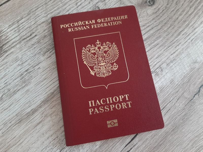 Курян призвали проверить заграничные паспорта