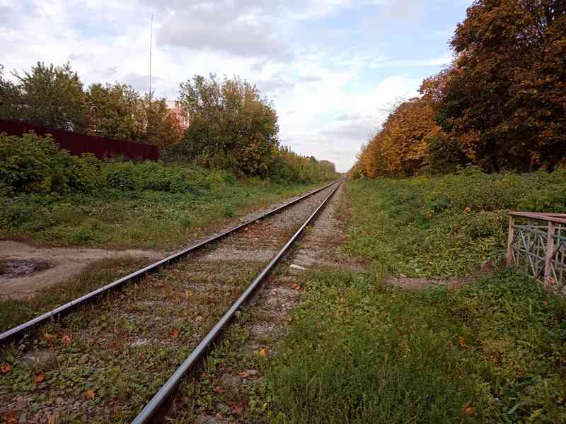 Легковушка попала под поезд в Курской области