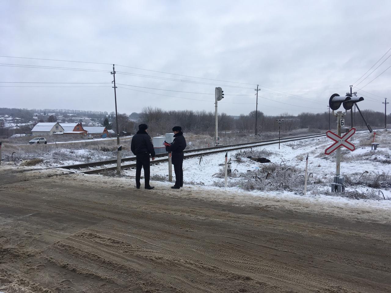 В Курской области поезд сбил пенсионера